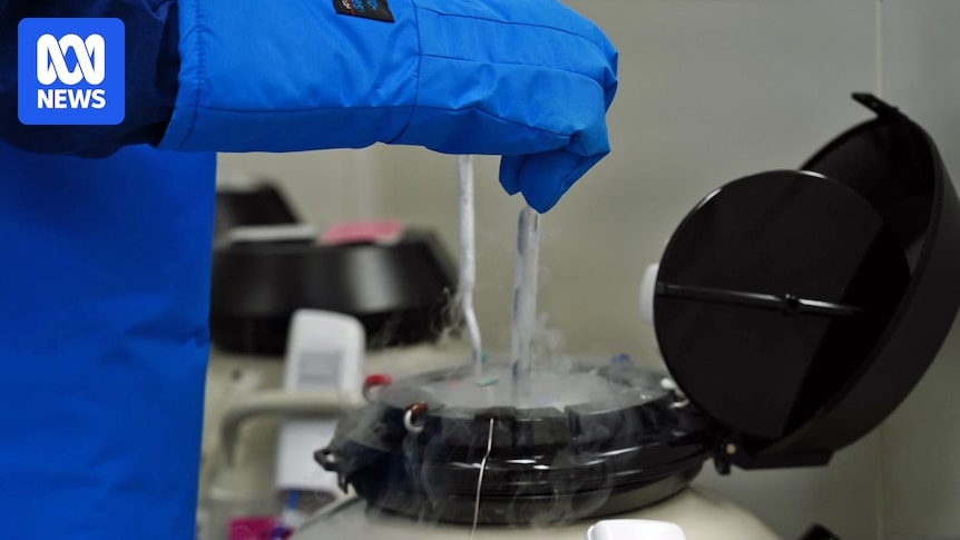 Prisoner loses battle to freeze her eggs while serving 10-year sentence