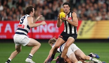 AFL round nine 2026, scores, results, odds, stats and start time from the MCG