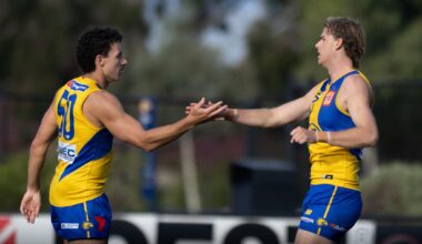 WAFL Game Day Guide: Round 8 v Peel