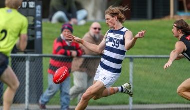 Gieschen on what Annand brings to Richmond, AFL prospects of VFL Tigers