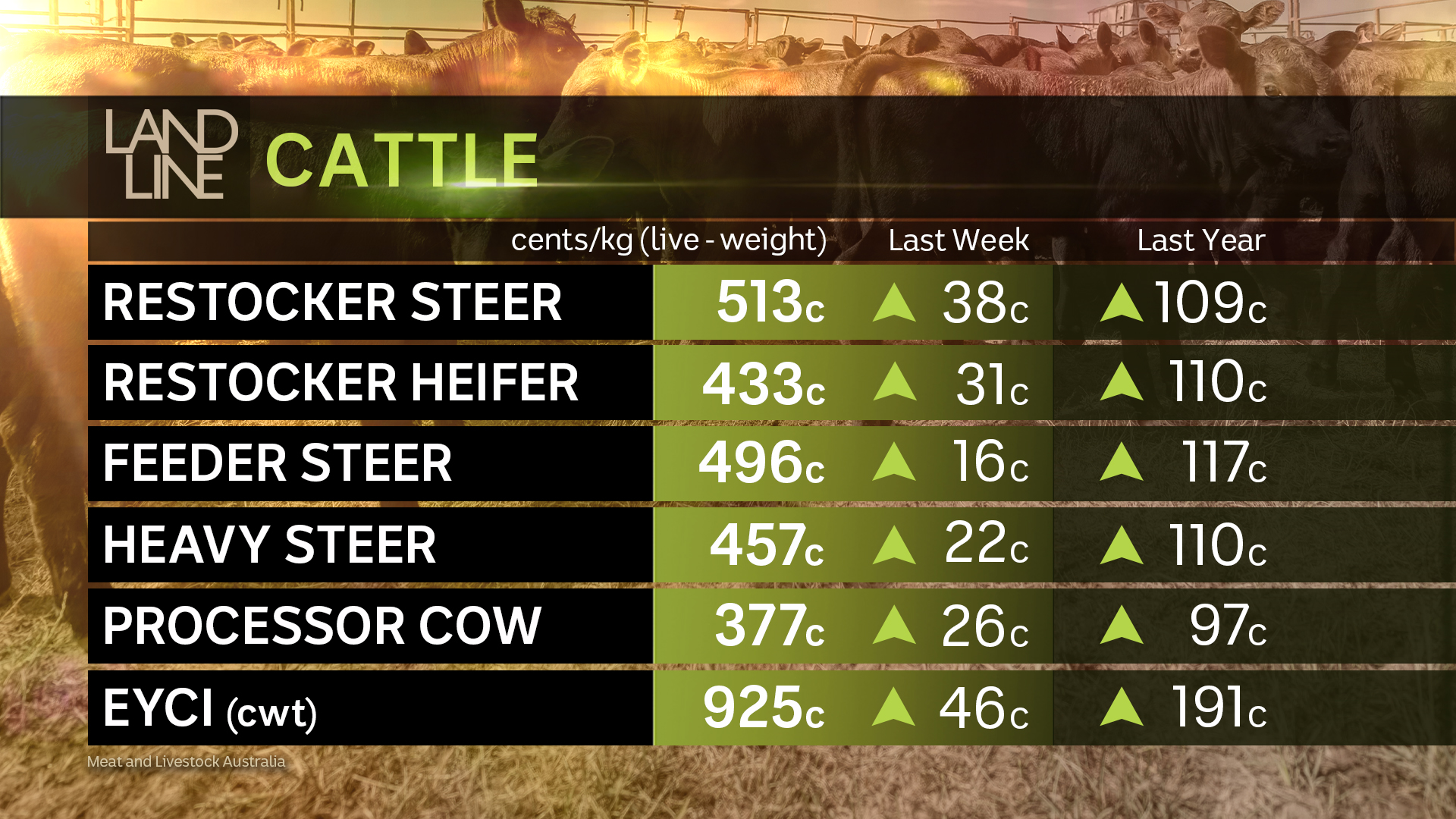 Landline check on cattle prices