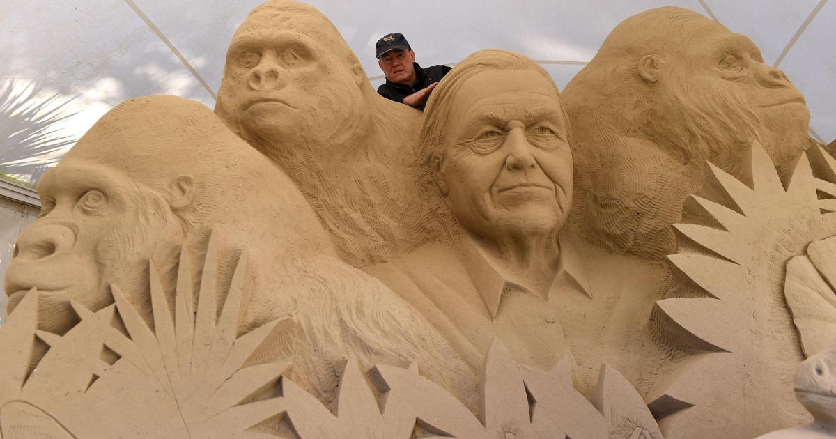 Incredible Sir David Attenborough sand sculpture