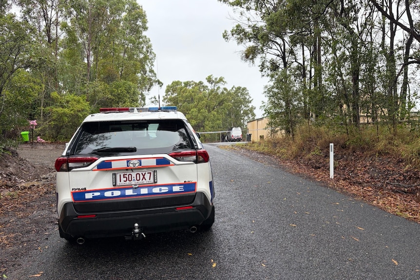 A police car parked on a road lined with trees.