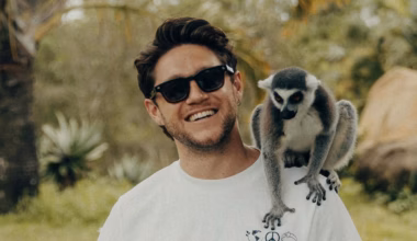 ‘Every major city’: Former One Direction star Niall Horan announces huge Australian tour