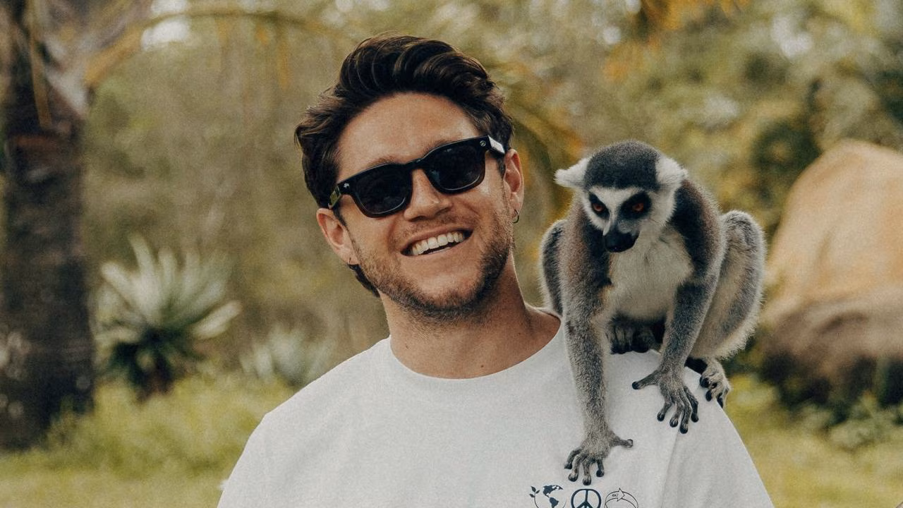 ‘Every major city’: Former One Direction star Niall Horan announces huge Australian tour