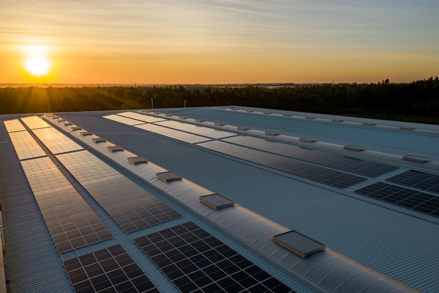 Rooftop solar panels on a large rooftop with the sun low in the sky in the background.