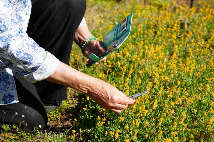 A woman crouched down taking photos of a plant in her yard