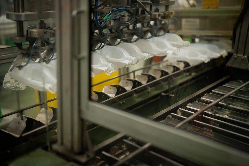 Plastic milk bottles on a production line.