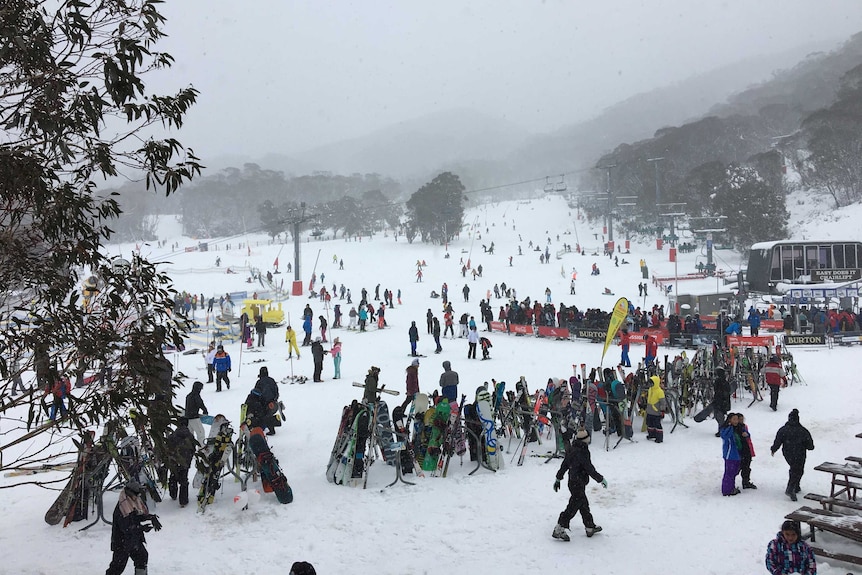 Thredbo resort said it was 'continuing to plan for the 2020 snow season'