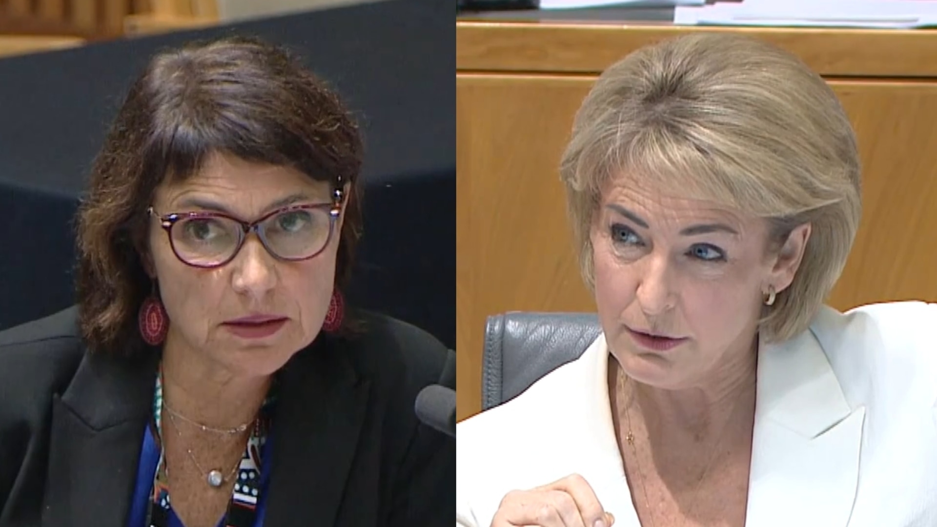 Sex Discrimination Commissioner grilled over pregnancy protections for transgender women