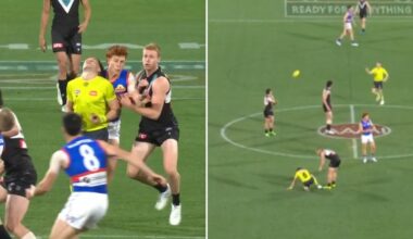 Ed Richards faces MRO scrutiny after collision with AFL umpire Daniel Johanson