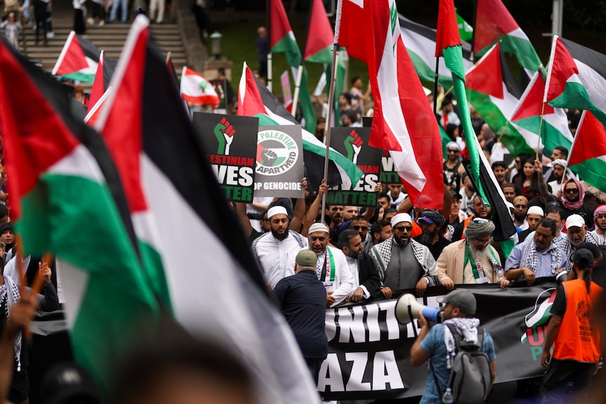 People seen at a rally, some have face paint in the shape of the Palestinian flag. There are colourful flags.