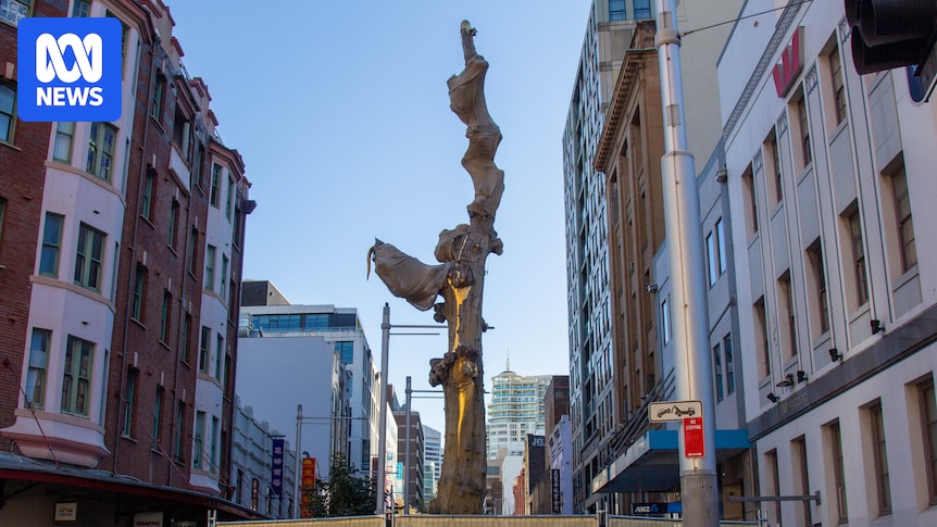 Chinese community concerned for future of Golden Water Mouth sculpture after city flags removal