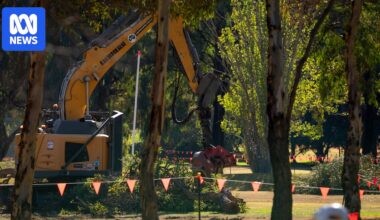 Trees razed as North Adelaide golf course redevelopment gets underway