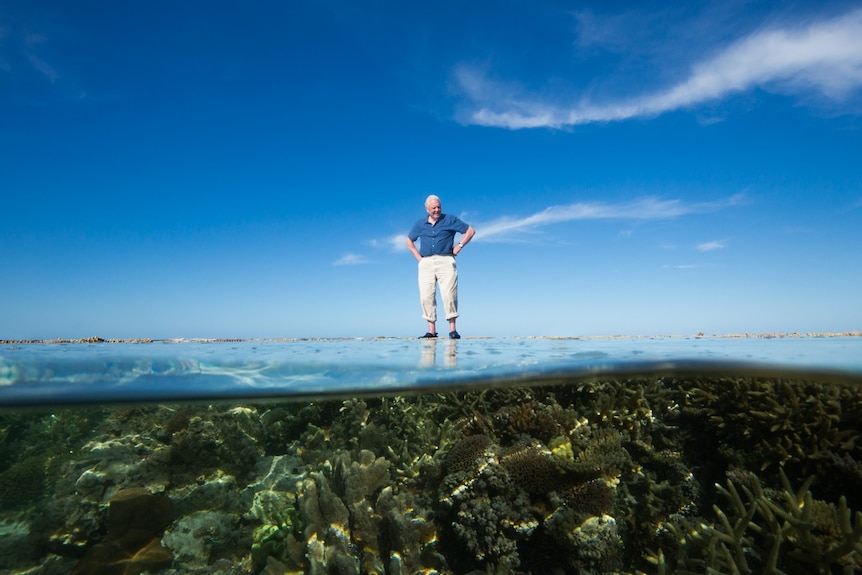 The camera lens half in and out of the water shows an old man in a blue shirt standing on top of a coral reef under a blue sky.