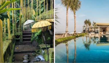 Aussie’s wild discovery during first ever trip to Bali