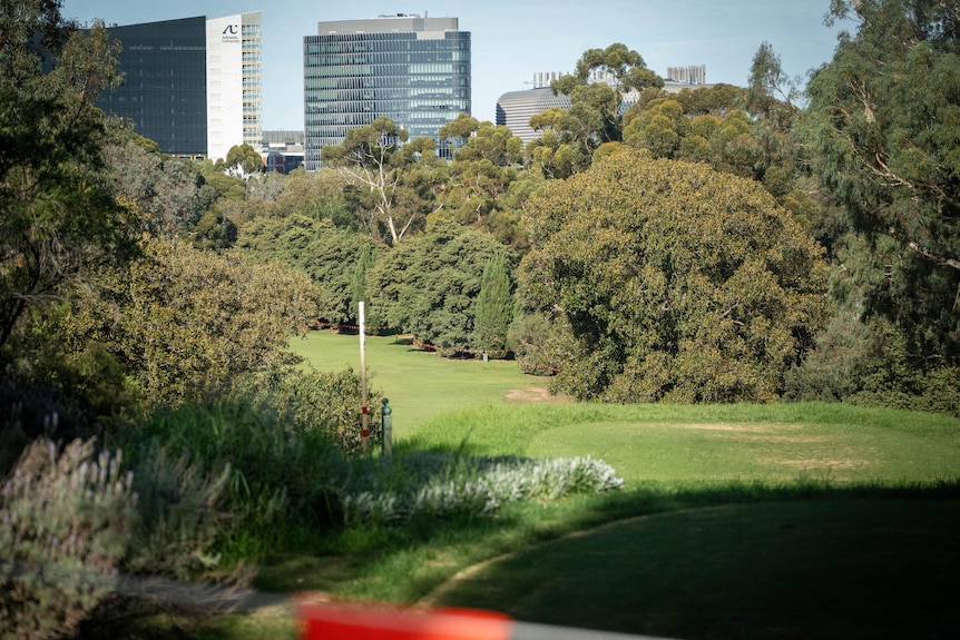 A golf fairway with trees around and city buildings in the background