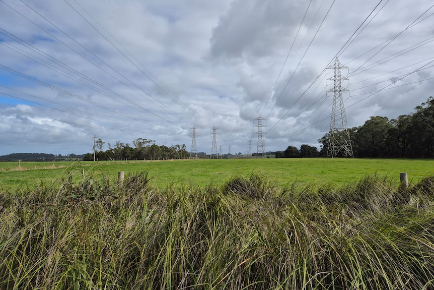 A green field stretching into the distance, with transmission lines running across it and tall trees to the right and horizon.