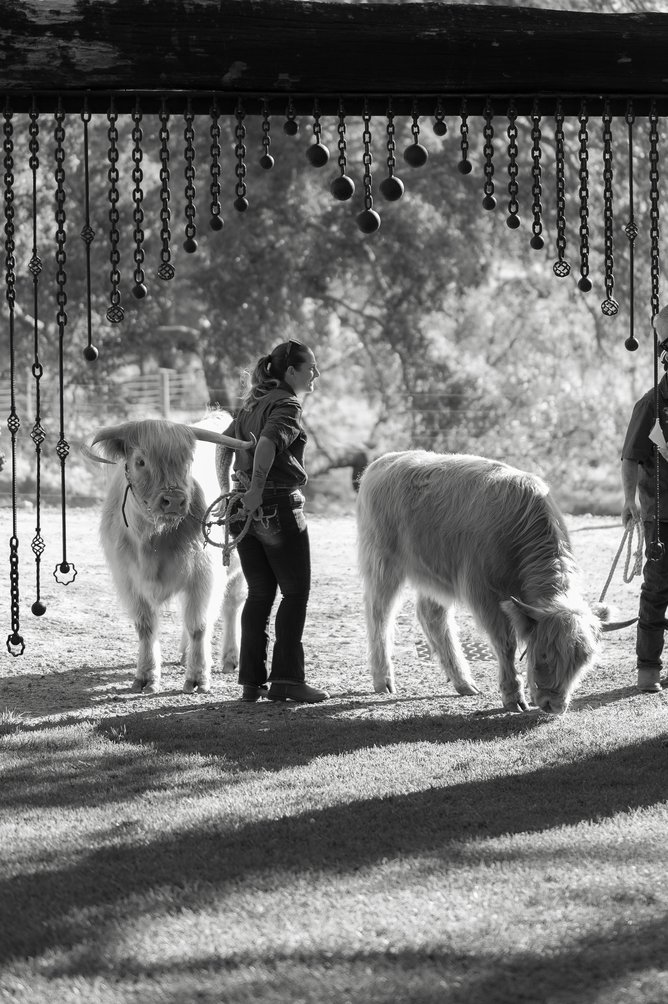 Maddison and Reece's Ferguson Valley wedding.