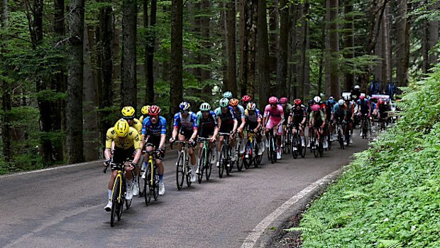 The peloton competing during the 109th Giro d'Italia 2026.