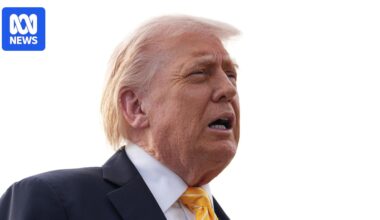 Donald Trump says the US and Nigeria have killed second-in-command ISIS leader