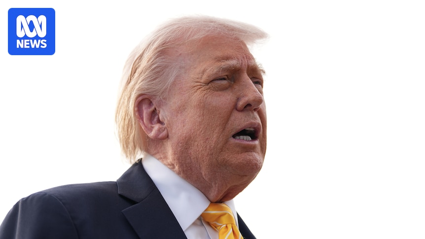 Donald Trump says the US and Nigeria have killed second-in-command ISIS leader