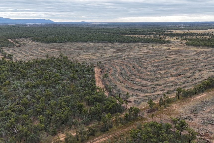 Further aerial views of cleared land at a proposed mine site.