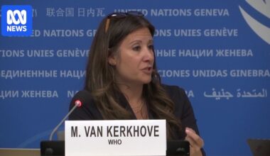 VIDEO: WHO pandemic director speaks on deadly hantavirus ship outbreak - Australian Broadcasting Corporation