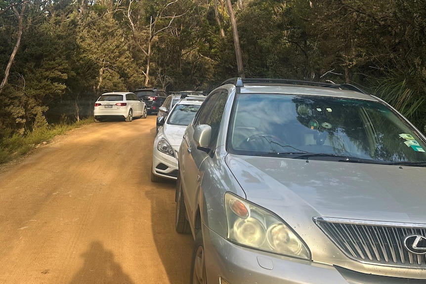 Cars parked on the side of a dirt road in a forest.