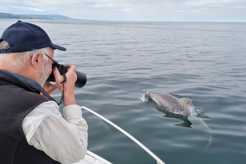 Jeff Weirs leans off the edge of a boat, taking photos of a dolphin, swimming in the water.