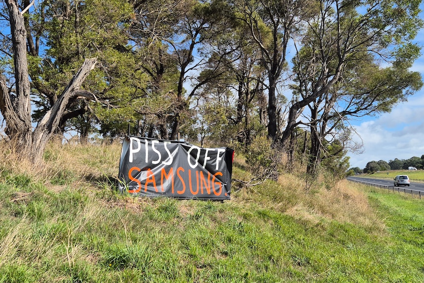 A black plastic sign with the words Piss Off Samsung written in paint, slung between trees along a freeway.