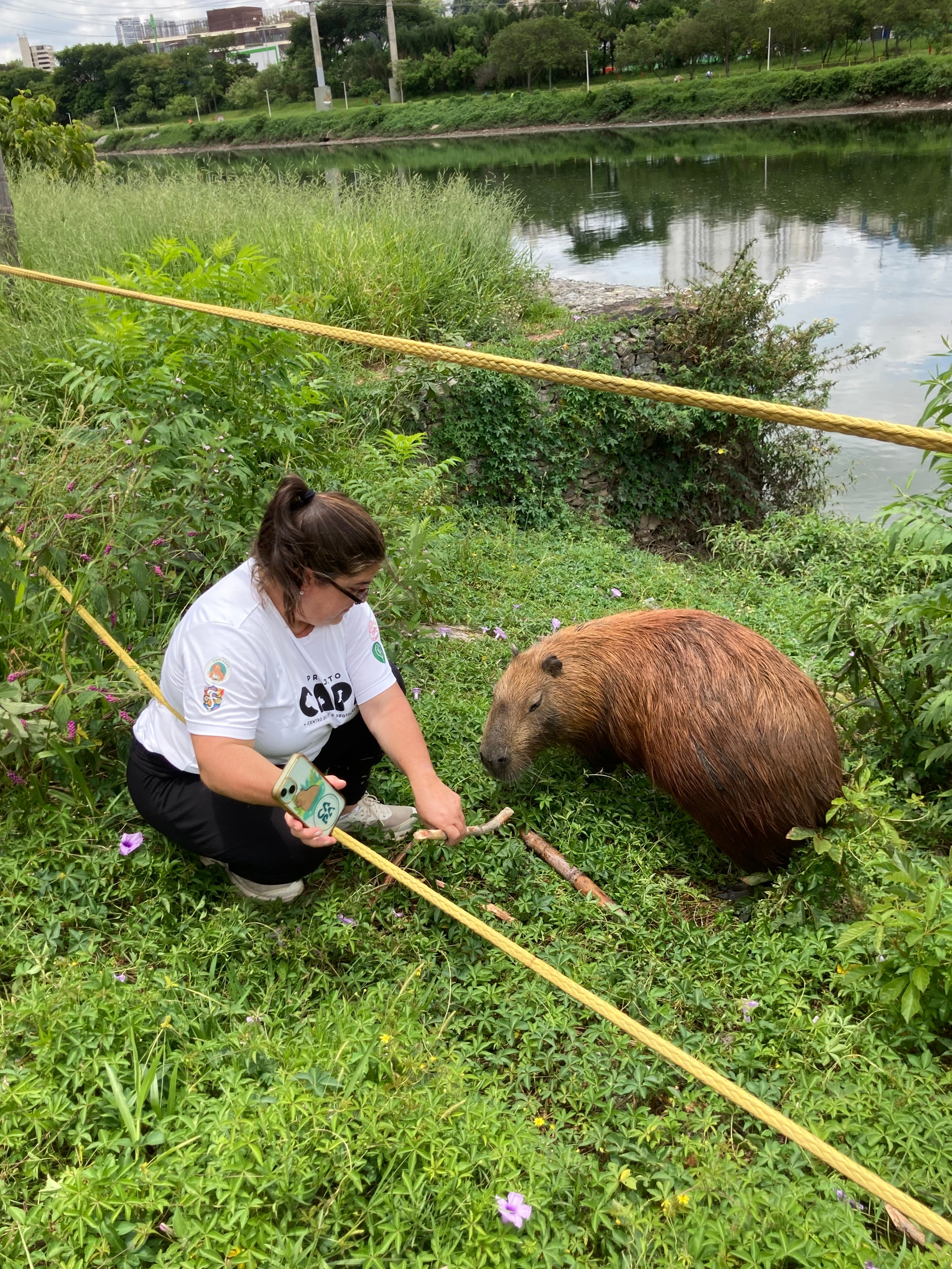 A woman near a river is feeding treats to a capybara.