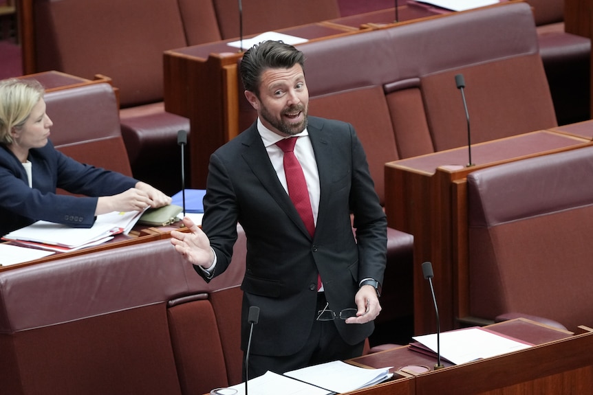 A man with dark hair and a beard, wearing a dark suit, speaking in parliament.