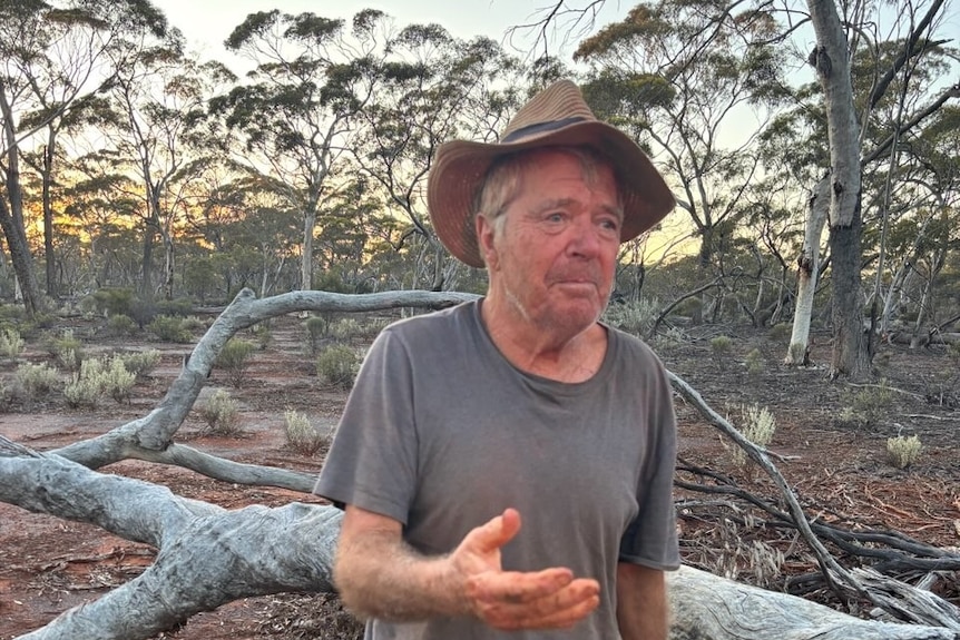 A man stands disheveled in a bushy area.