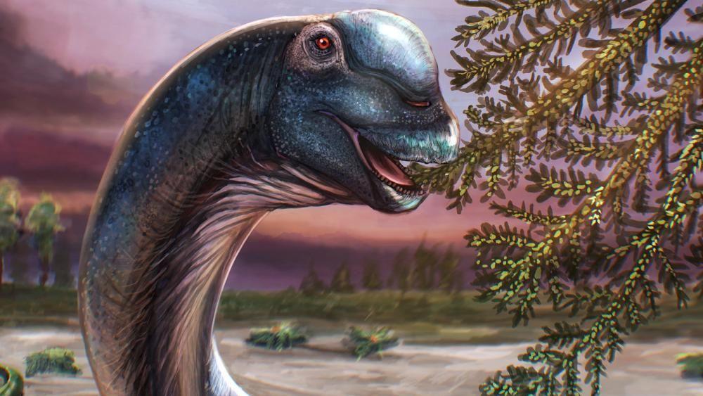 Giant new dinosaur identified from fossils in Thailand