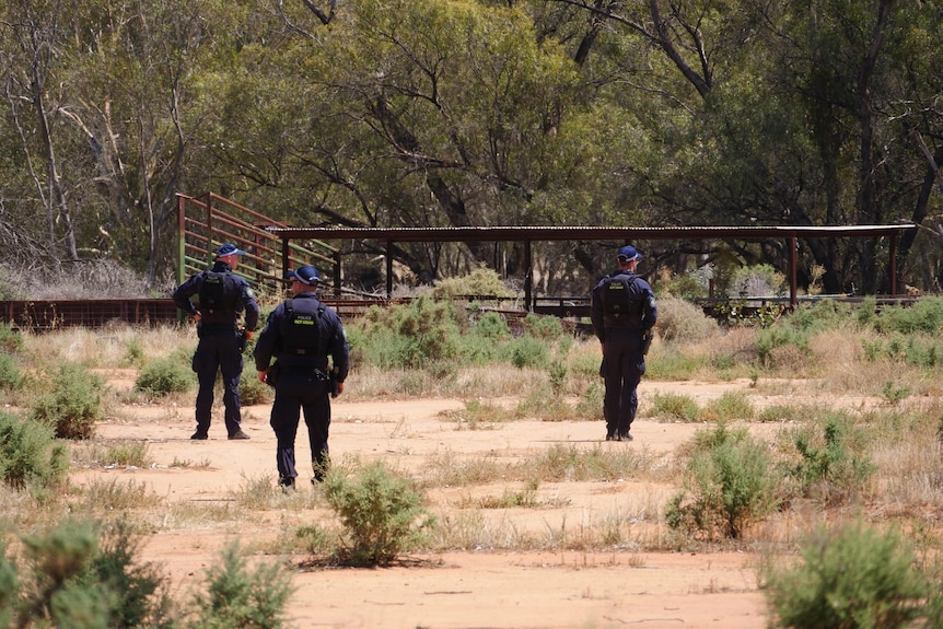 Police officers searching through dry bush