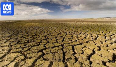 Remembering SA's pain and battles behind the Murray-Darling Basin Plan