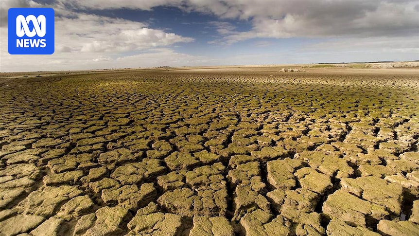Remembering SA's pain and battles behind the Murray-Darling Basin Plan