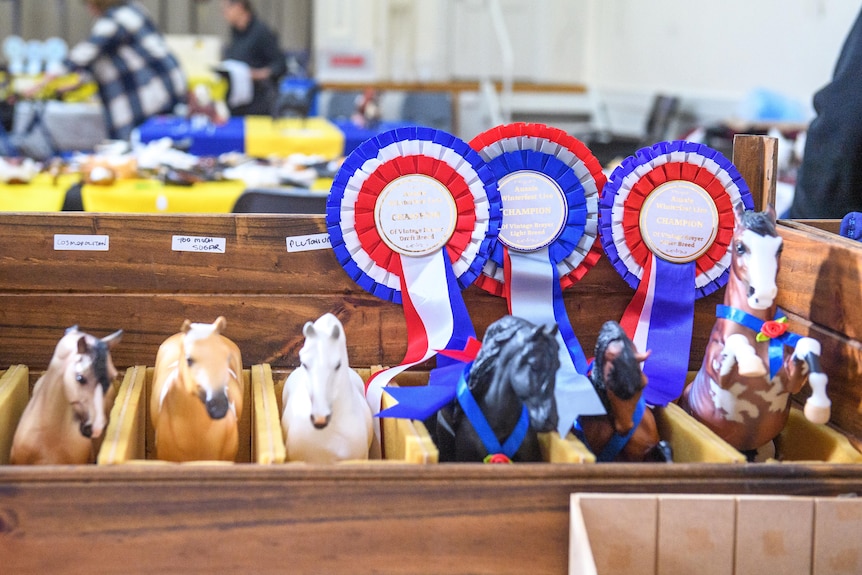 Box of horses with blue, white and red rosettes