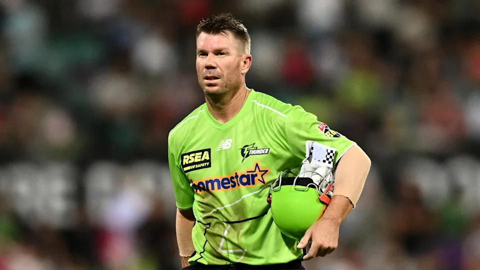 David Warner (file)