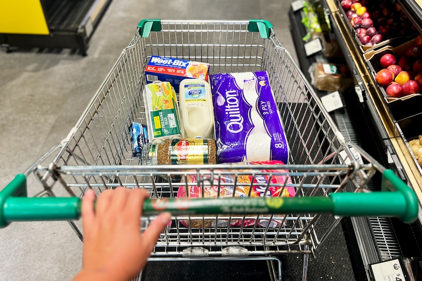 A Woolworths trolley filled with toliet paper, instant coffee, tampons, milk, eggs, bread and Weetbix.