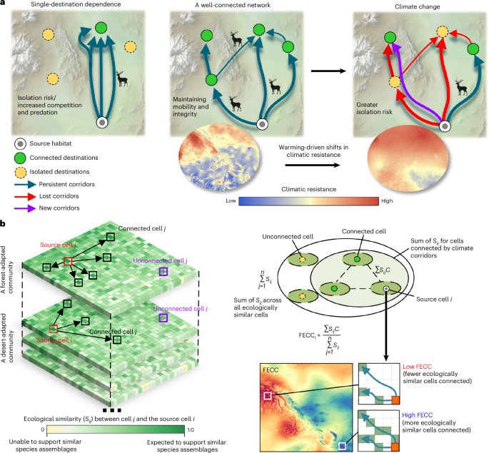 Warming erodes climate connectivity for terrestrial vertebrates