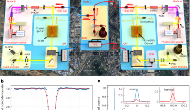A metropolitan-scale multiplexed quantum repeater with Bell non-locality