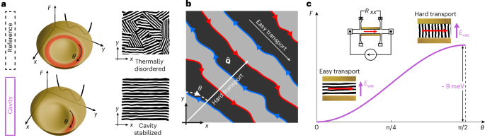 Fig. 3: Orientational stabilization of fluctuating stripe order by the cavity.