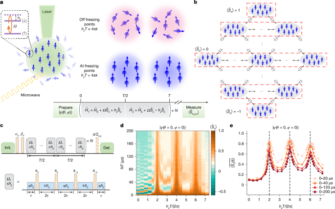 Dynamical freezing for magnetometry in an interacting spin ensemble