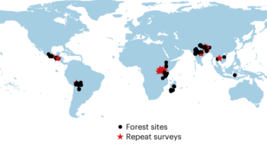 Advancing biodiversity through poverty solutions
