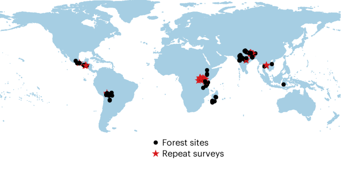Advancing biodiversity through poverty solutions
