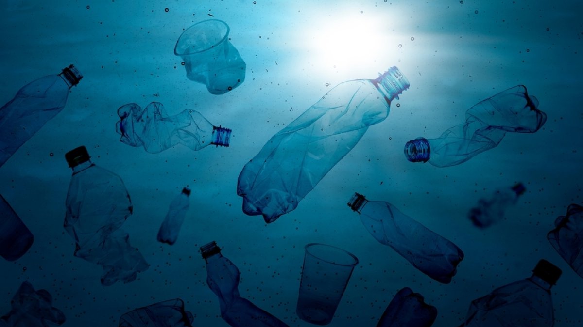 Plastic waste carries toxic chemicals through seas: Study