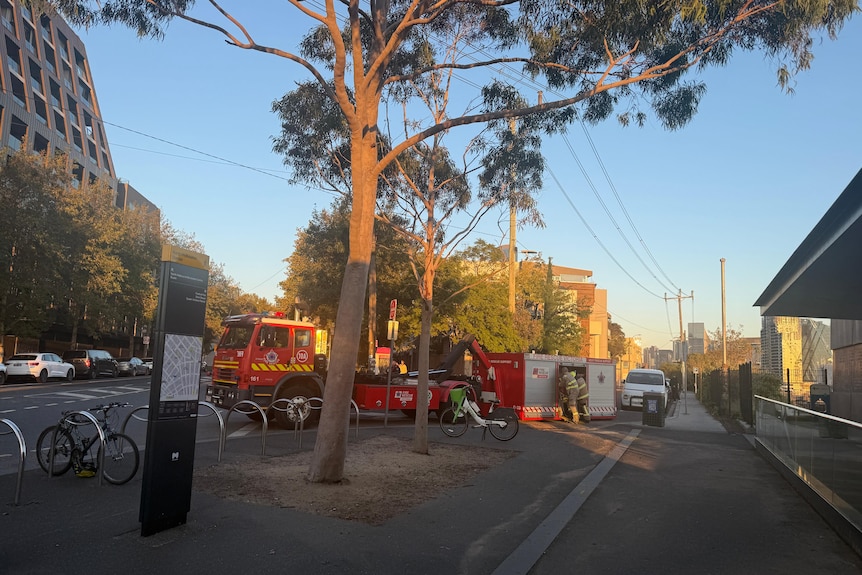 Two firefighters in overalls lean into a trailer attached to a red fire truck parked near a gum tree on a cloudless day.