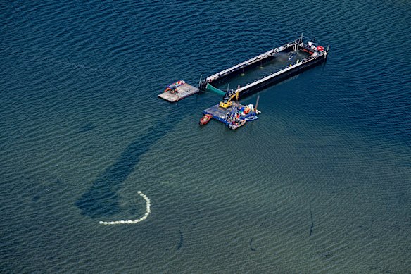 The juvenile male was guided through a newly dredged channel onto a water-filled barge normally used to transport ships.